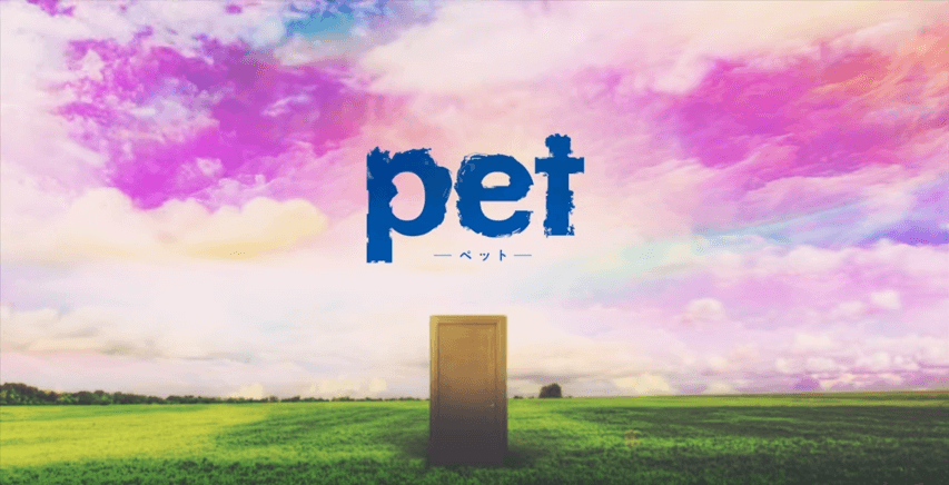 Pet