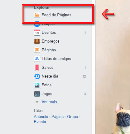 Feed de Páginas GQCA