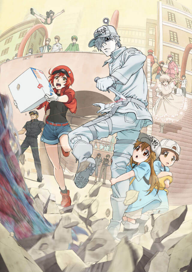 Hataraku Saibou - Cells at Work GQCA