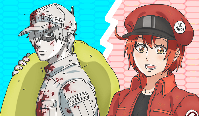 Hataraku Saibou Cells at Work!