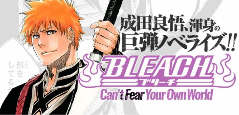 Bleach: Can’t Fear Your Own World