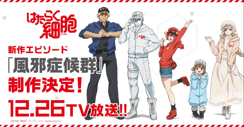 Cells at Work