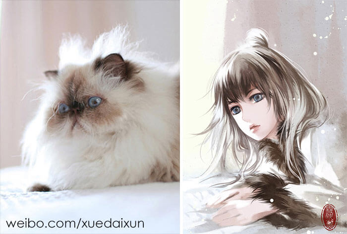 Xuedaixun