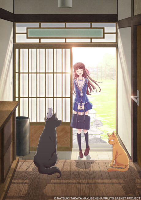 Fruits Basket 1