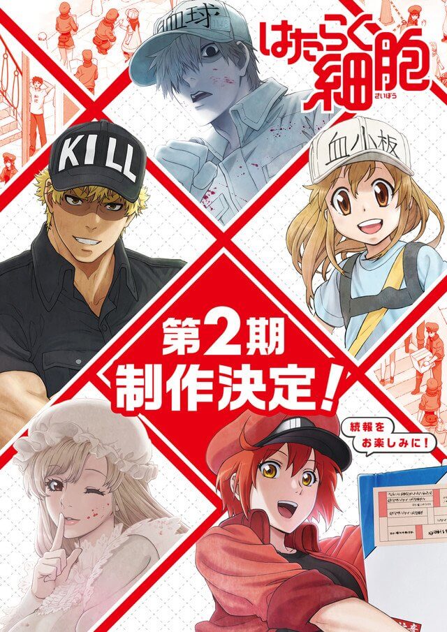 Hataraku Saibou / Cells at Work!