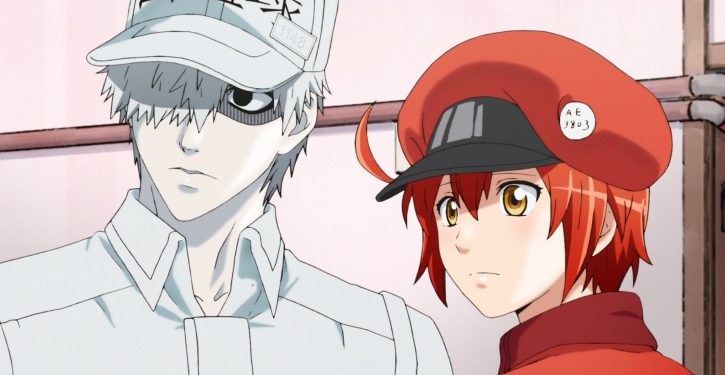 Hataraku Saibou (Cells at Work!)