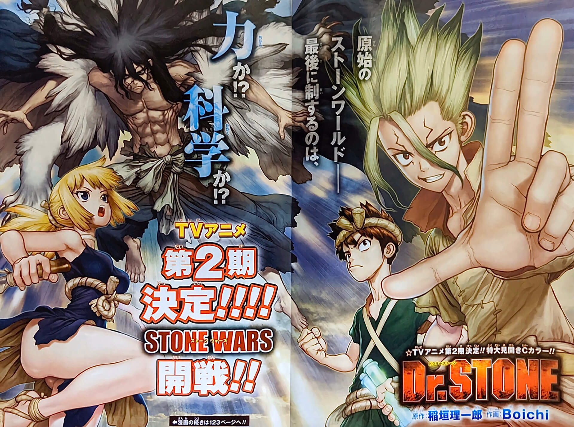 Dr. Stone