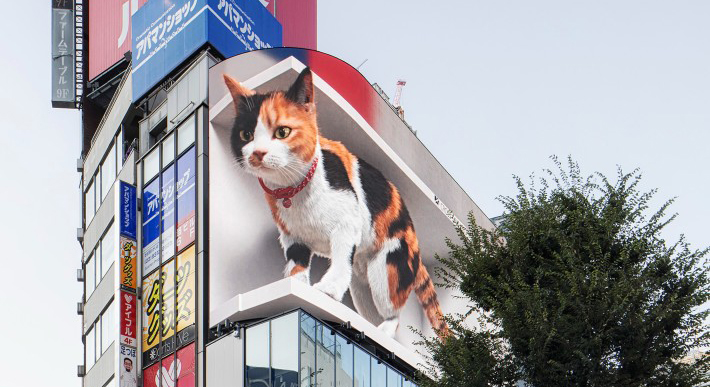 O gato gigante 3D do Japão