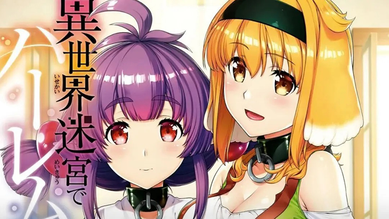 Isekai Meikyuu de Harem o