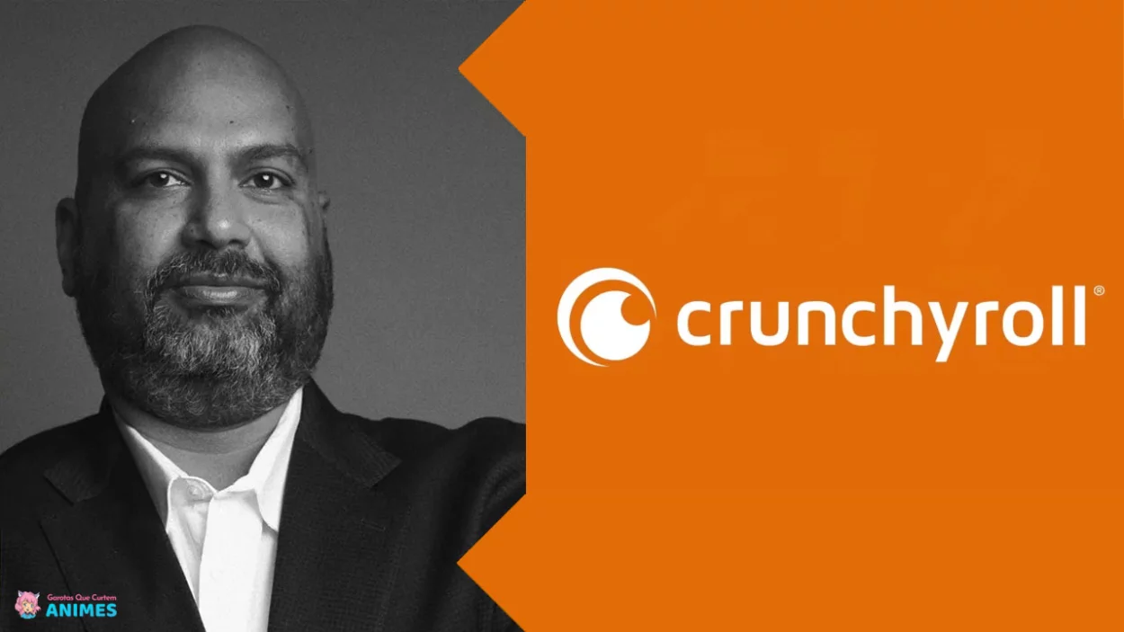 Em uma entrevista, o CEO da Crunchyroll, Rahul Purini, reconheceu que os anúncios não estavam gerando receita para o serviço de streaming.