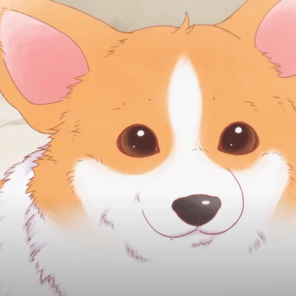 O site oficial da adaptação para anime do mangá Tono to Inu (The Lord and the Dog) de Rie Nishida, divulgou um teaser trailer.