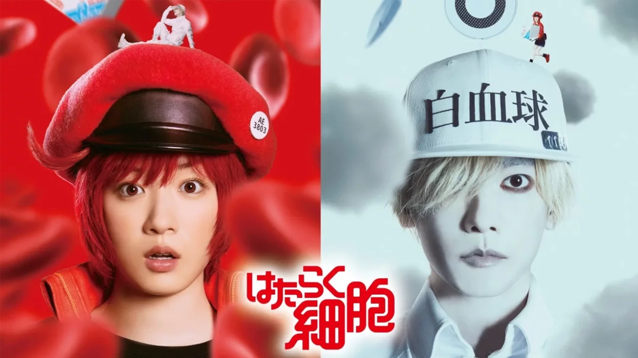 A Comic Natalie divulgou um novo teaser trailer da adaptação para filme live-action do mangá Cells at Work! (Hataraku Saibou).