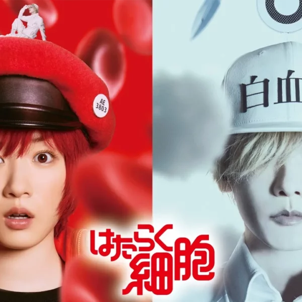 A Comic Natalie divulgou um novo teaser trailer da adaptação para filme live-action do mangá Cells at Work! (Hataraku Saibou).