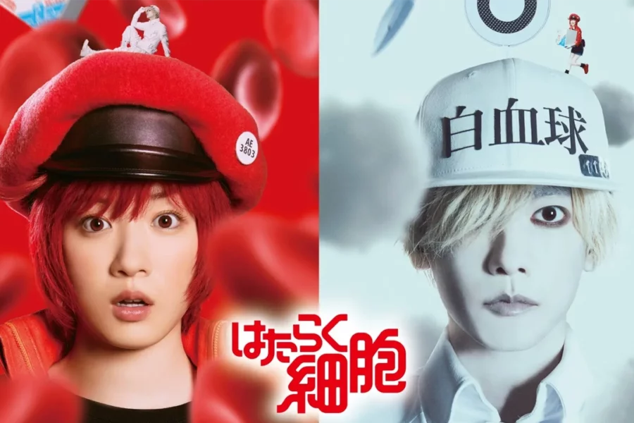 A Comic Natalie divulgou um novo teaser trailer da adaptação para filme live-action do mangá Cells at Work! (Hataraku Saibou).