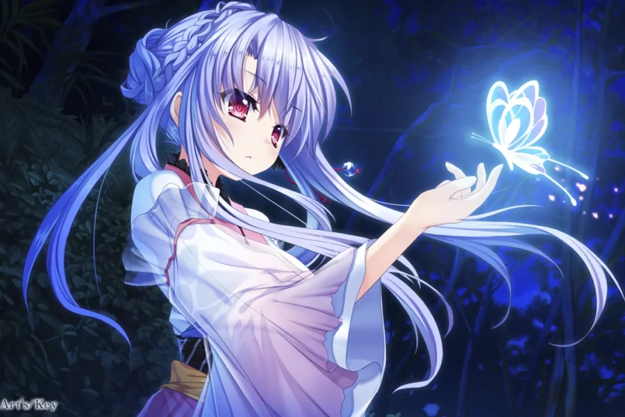 Através de um vídeo promocional a Visual Arts/Key revelou que a adaptação para série anime da visual novel Summer Pockets vai estrear em 2025.