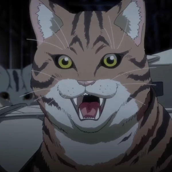 Durante a CCXP24 foi divulgado um novo trailer da adaptação para série anime do mangá Night of the Living Cat (Nyaight of the Living Cat).