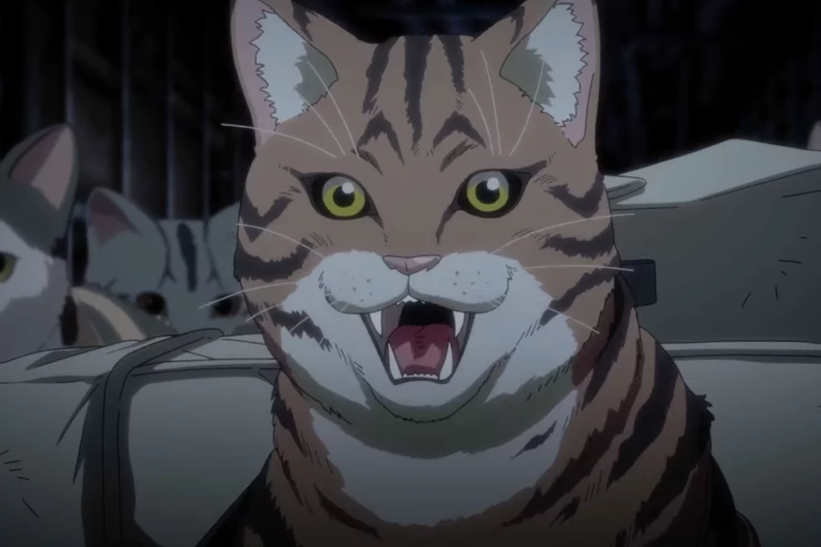 Durante a CCXP24 foi divulgado um novo trailer da adaptação para série anime do mangá Night of the Living Cat (Nyaight of the Living Cat).