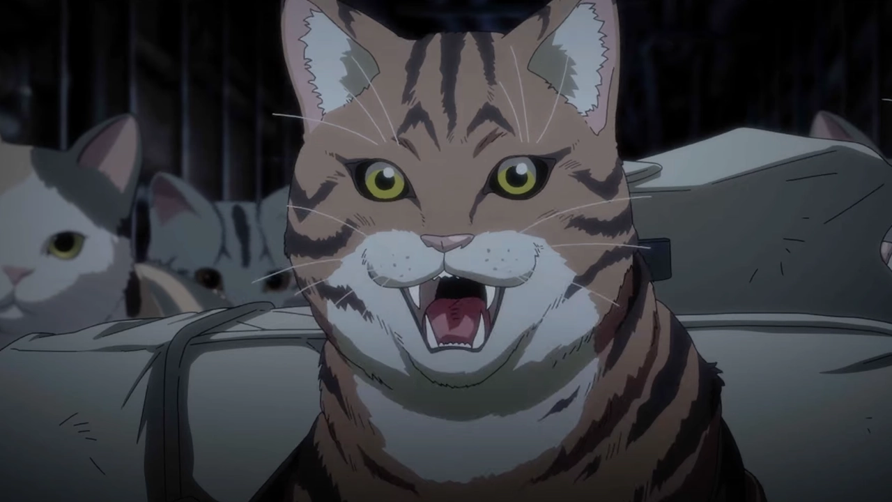 Durante a CCXP24 foi divulgado um novo trailer da adaptação para série anime do mangá Night of the Living Cat (Nyaight of the Living Cat).