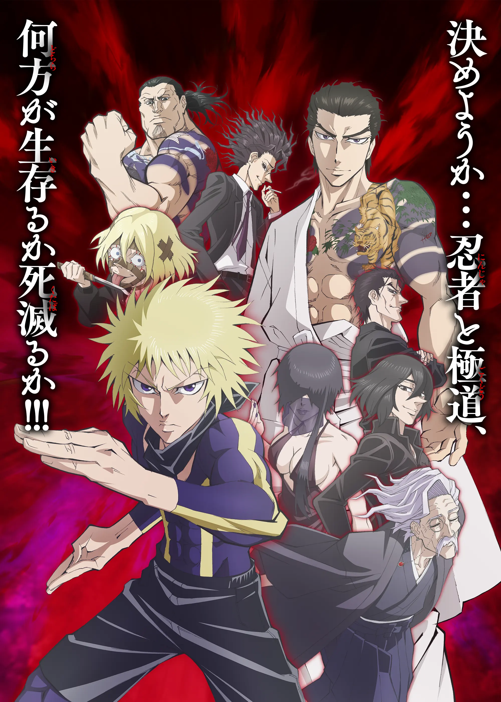 O site oficial da adaptação anime do mangá Ninja vs. Gokudo (Ninja to Gokudō) de Shinsuke Kondō divulgou o primeiro vídeo promocional.