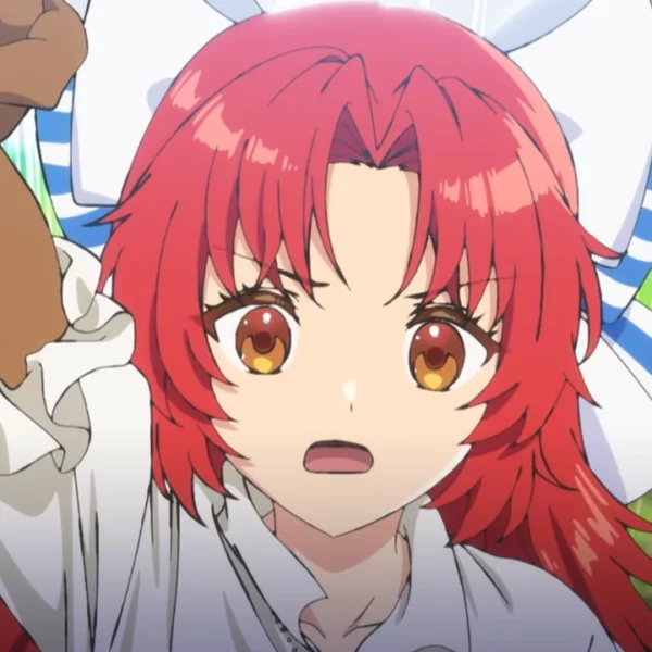 Através de um trailer, foi revelado que a adaptação para série anime da novel A Tale of the Secret Saint, irá estrear em 2026.